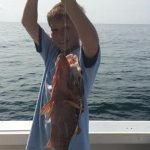 Fish Naples Florida